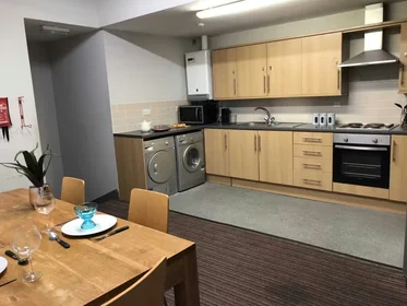 Prywatny pokój Hylton Rd, Sunderland SR4 7BB, United Kingdom, obraz 34 37