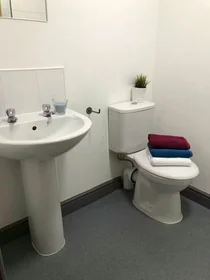 Prywatny pokój Hylton Rd, Sunderland SR4 7BB, United Kingdom, obraz 37 37