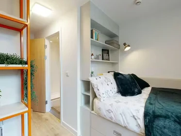 Habitación privada en 66 Alexandra Road, Swansea, SA1 5BD, imagen 1 de 75