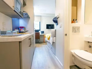 Habitación privada en 66 Alexandra Road, Swansea, SA1 5BD, imagen 21 de 75