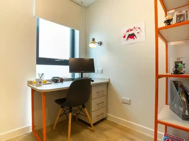 Habitación privada en 66 Alexandra Road, Swansea, SA1 5BD, imagen 24 de 75