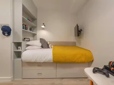 Habitación privada en 66 Alexandra Road, Swansea, SA1 5BD, imagen 27 de 75