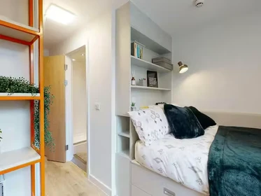 Habitación privada en 66 Alexandra Road, Swansea, SA1 5BD, imagen 31 de 75