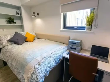 Habitación privada en 66 Alexandra Road, Swansea, SA1 5BD, imagen 36 de 75