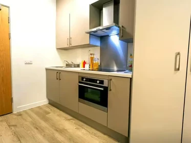 Habitación privada en 66 Alexandra Road, Swansea, SA1 5BD, imagen 44 de 75