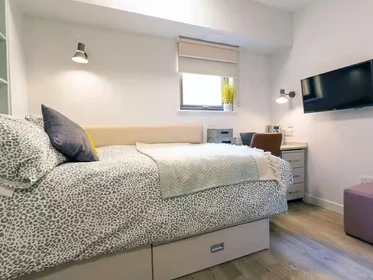 Habitación privada en 66 Alexandra Road, Swansea, SA1 5BD, imagen 46 de 75