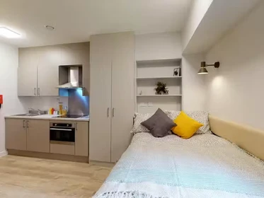 Habitación privada en 66 Alexandra Road, Swansea, SA1 5BD, imagen 47 de 75