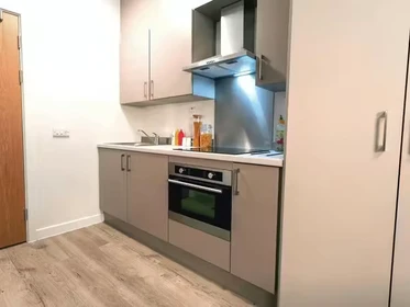 Habitación privada en 66 Alexandra Road, Swansea, SA1 5BD, imagen 48 de 75