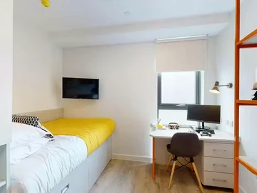 Habitación privada en 66 Alexandra Road, Swansea, SA1 5BD, imagen 51 de 75