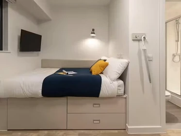 Habitación privada en 66 Alexandra Road, Swansea, SA1 5BD, imagen 53 de 75
