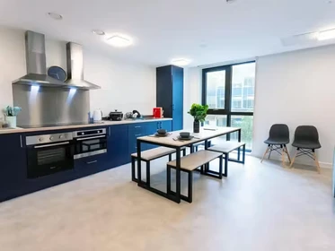 Habitación privada en 66 Alexandra Road, Swansea, SA1 5BD, imagen 7 de 75