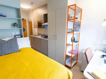 Habitación privada en 66 Alexandra Road, Swansea, SA1 5BD, imagen 73 de 75
