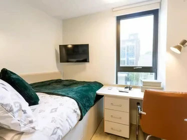 Habitación privada en 66 Alexandra Road, Swansea, SA1 5BD, imagen 9 de 75