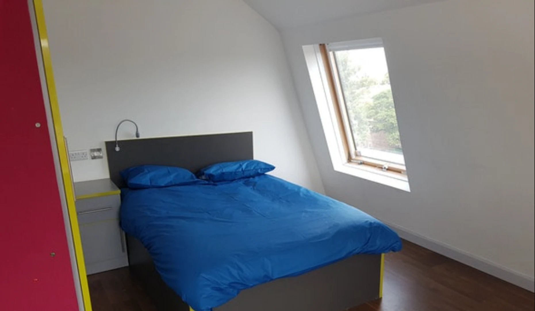 Cheap private room in York