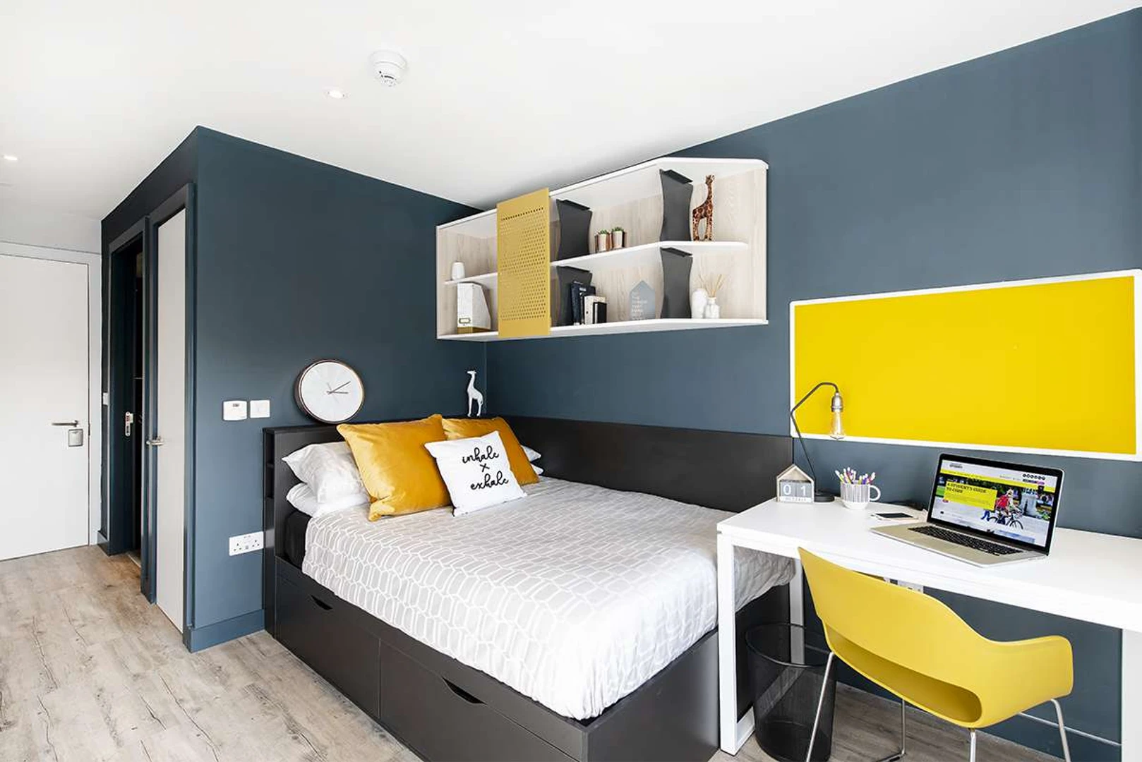 Cheap private room in Cork