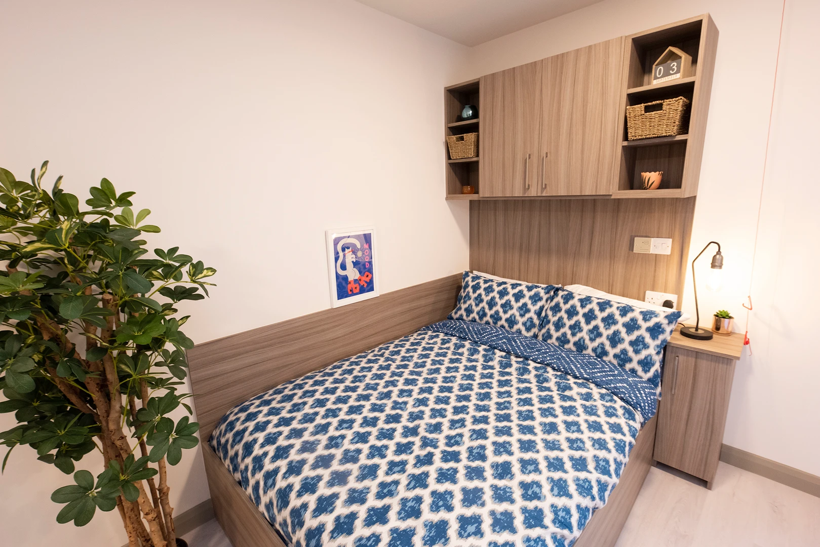 Habitación en alquiler con cama doble Cork