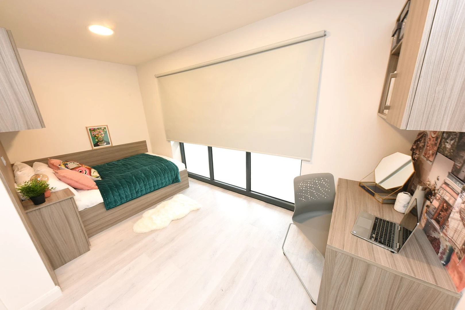 Cheap private room in Cork