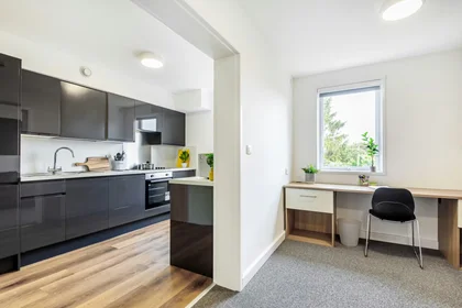 私人房间 在 OX3 7FJ Headington Oxford UK, 47的图像47