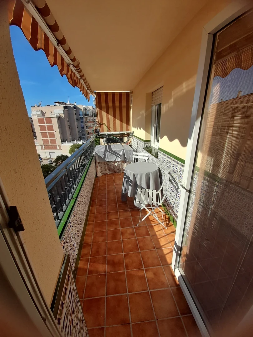 Entire fully furnished flat in Malaga