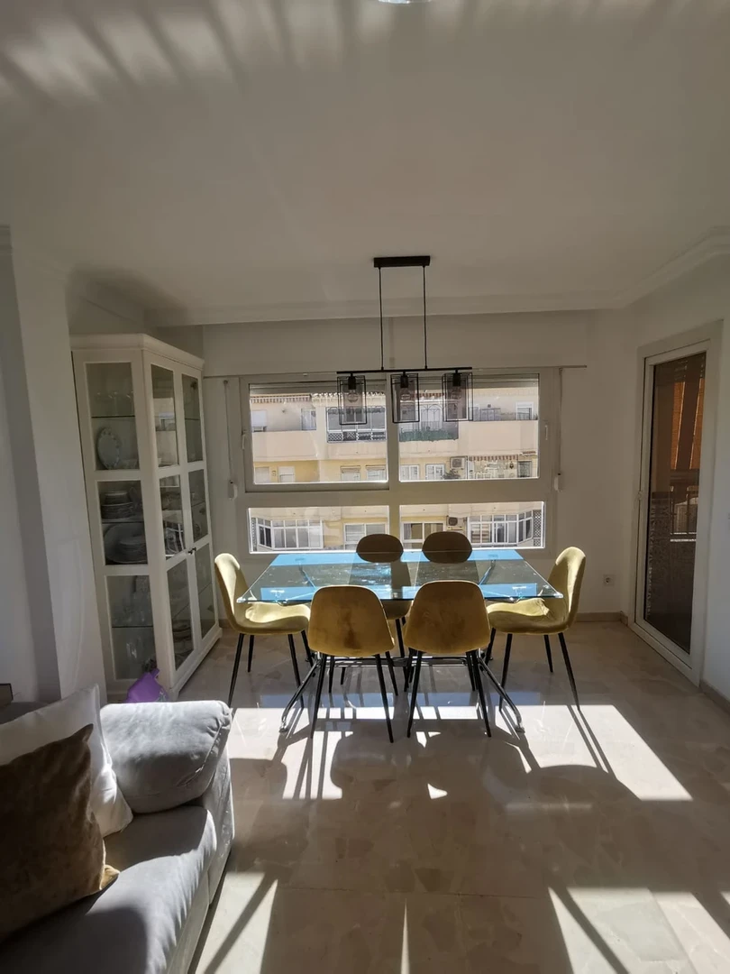 Entire fully furnished flat in Malaga