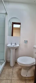 Quarto privado em Shanard Road, imagem 14 de 22