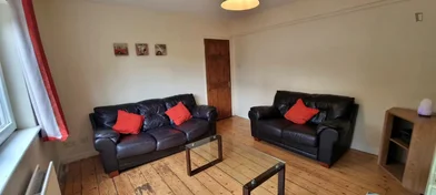 Quarto privado em Shanard Road, imagem 4 de 22