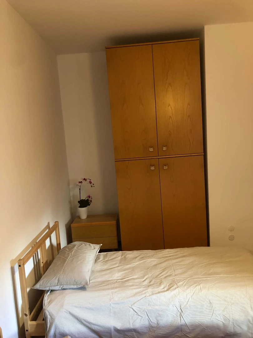 Bright shared room for rent in Padova