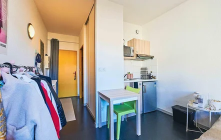 Privatzimmer im Wohnheim in der Lyon, 69008, bild 4 von 8
