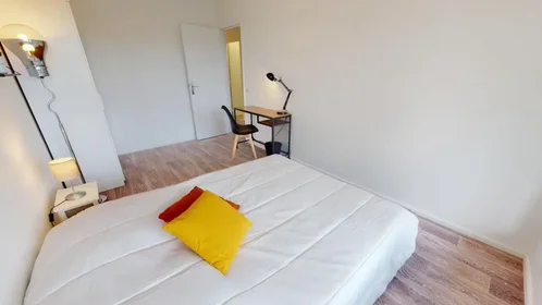 Stanza privata in Rue Professeur Patel, 9th Arrondissement, immagine 2 di 10