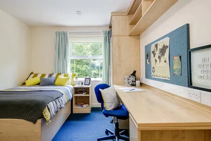 Alquiler de habitaciones por meses en Canterbury