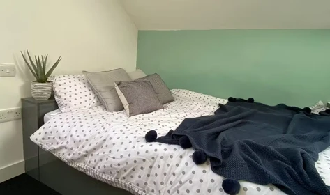 Room for rent in a shared flat in Lancaster