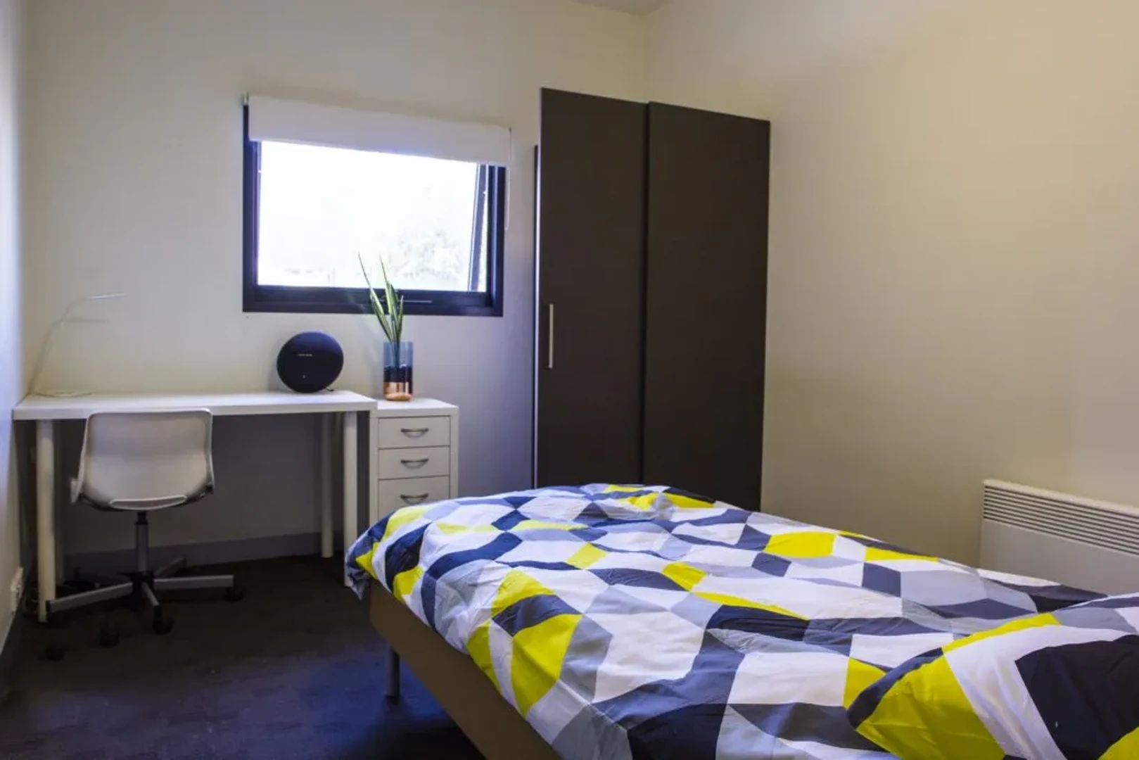 Melbourne de başka bir öğrenci ile paylaşılan oda