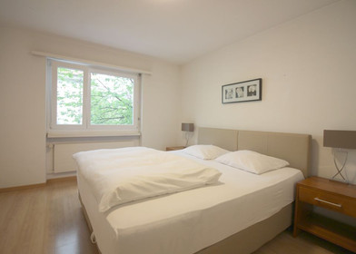 Zurich içinde 3 yatak odalı konaklama