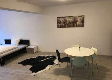 Studio for 2 people in Stuttgart