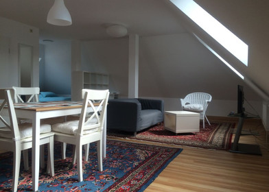 Very bright studio for rent in Mannheim