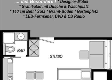 Very bright studio for rent in Mainz