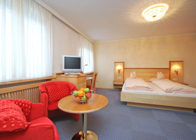 3 Zimmer Unterkunft in Wien