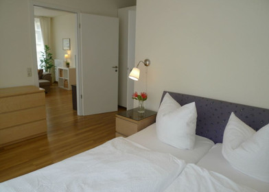 Luminoso e moderno appartamento a Dresda