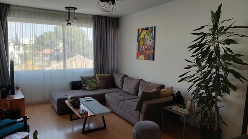 Entire fully furnished flat in Nicosia