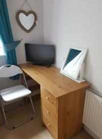 Bright private room in Galway