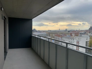 Apartamento entero totalmente amueblado  en Brno