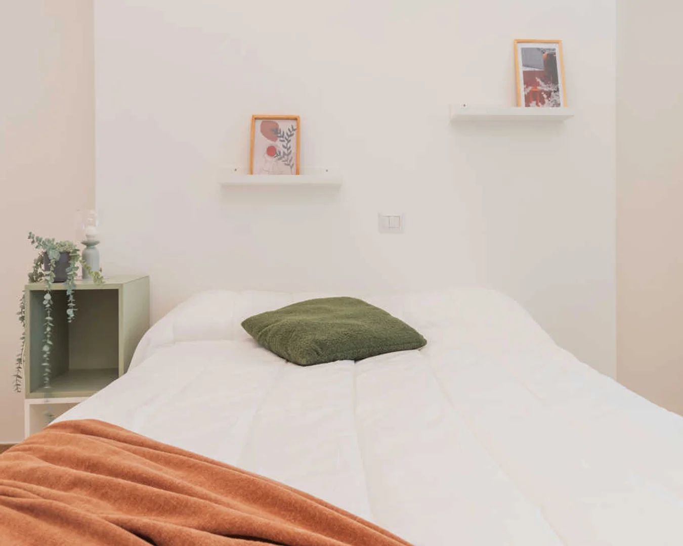 Affordable room for students with ample lighting in