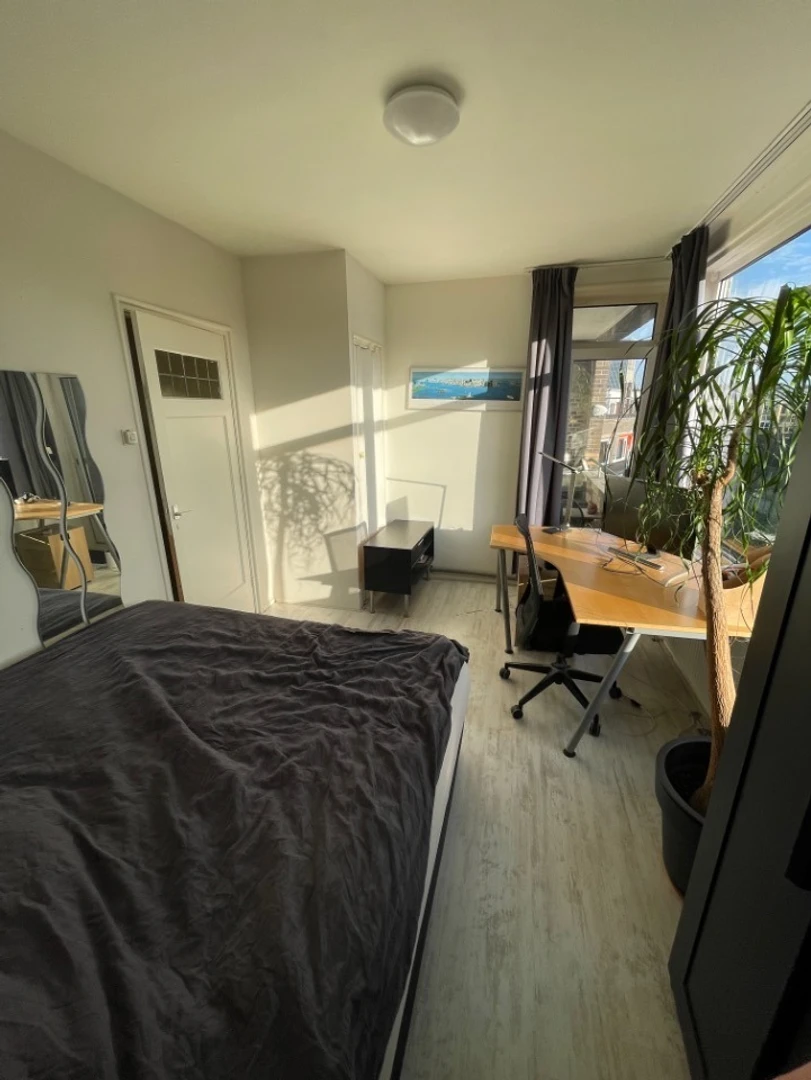Bright private room in rotterdam