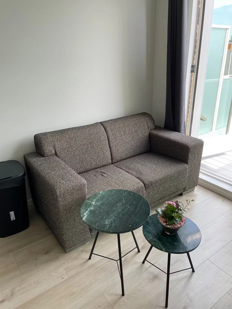 Entire fully furnished flat in Delft