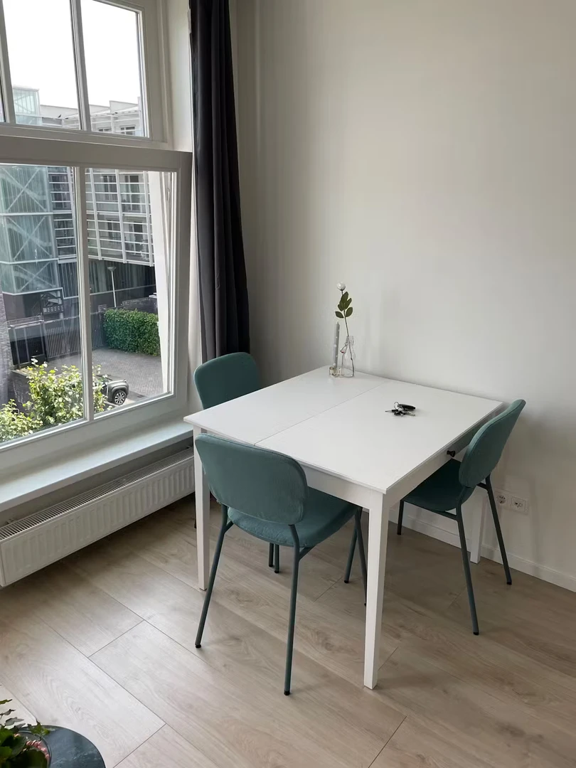 Appartamento in centro a Delft