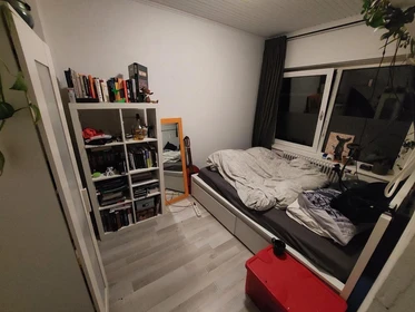 Room for rent with double bed eindhoven