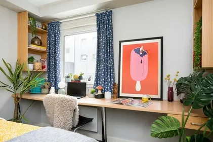 Özel oda konumu 171 Kyle Street, Glasgow, G4 0DS, 25 27 görüntüsü