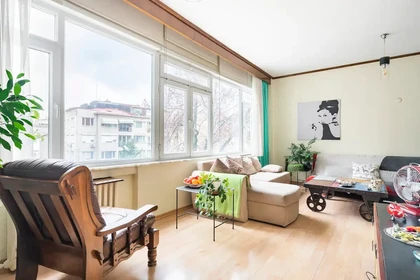 Renting rooms by the month in istanbul