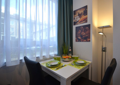 Furnished studio in Offenbach Am Main