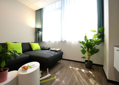 Stylowe mieszkanie typu studio w Offenbach Am Main